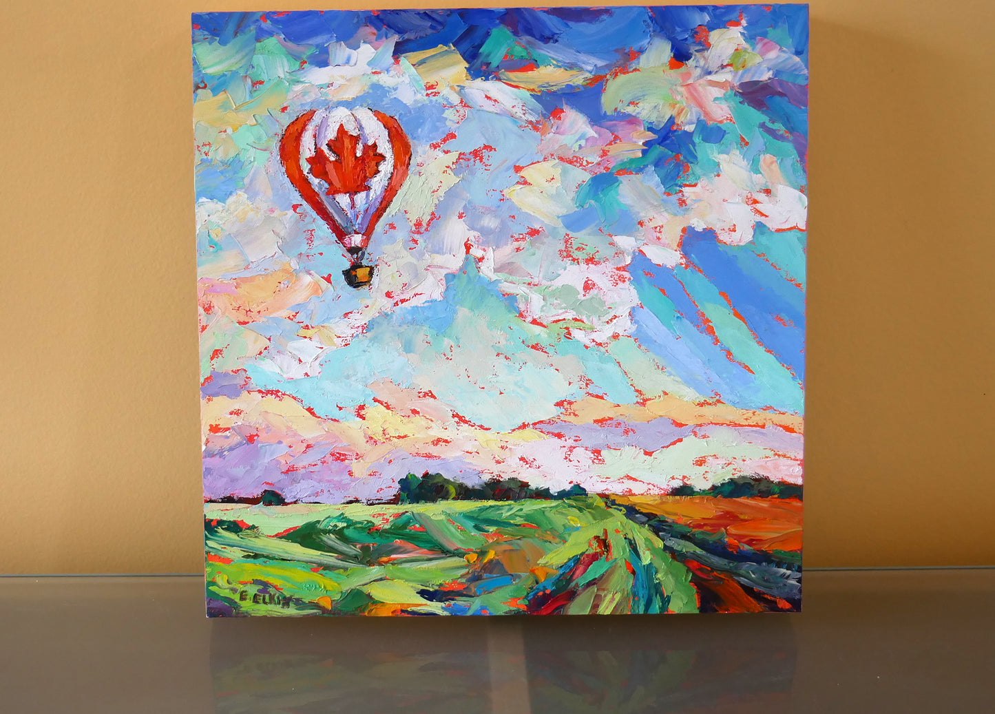 Have a balloon ride