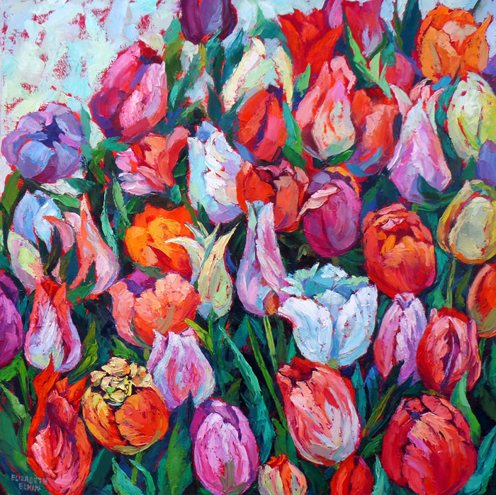 Colors of Tulips