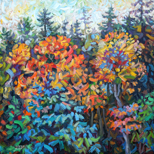 Fairy Forest