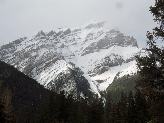 Reflections from the Rockies: A Creative Journey