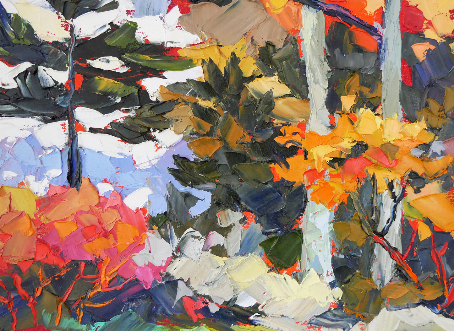 The Pines