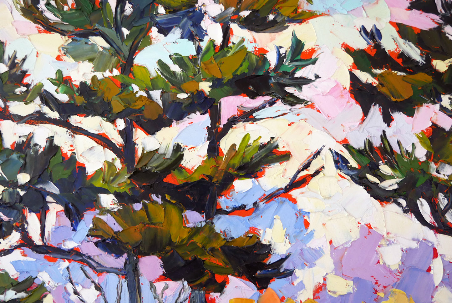 The Pines